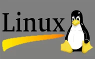 Linux下IDE CD-RW光盘刻录机安装手记