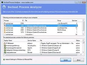SVCHOST进程分析利器Svchost Process Analyzer