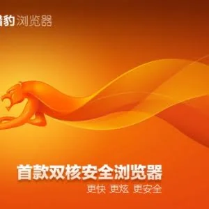 猎豹浏览器 4.3 Build 5821 绿色便携版 - 智能双核安全浏览器