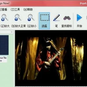 视频去水印软件：Remove Logo Now!中文绿色便携版