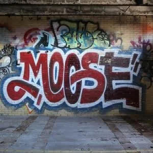 Linux/Moose蠕虫：操纵路由器“帮你玩”社交网络