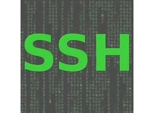 Windows家族将新添SSH功能