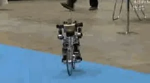 自行车玩成这样也是醉了