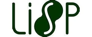 LispyScript：支持宏的JavaScript实现