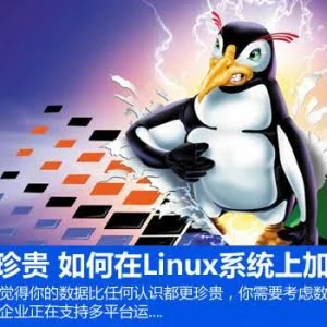 如何在Linux系统上加密？