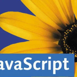 JavaScript返回上一页的三种方法及区别介绍