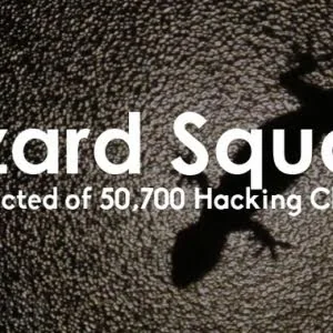 17岁Lizard Squad成员面临高达50700起网络犯罪指控