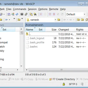 Directory Monitor(文件目录监控软件) v2.10.0.1 中文绿色版