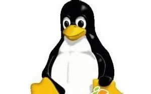 修改Linux终端界面分辨率的方法