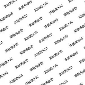 批量加水印大师 v2.20官方版