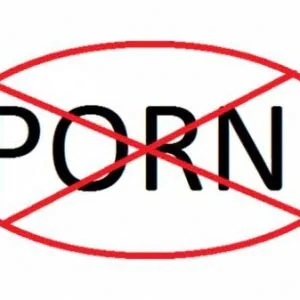 印度部分互联网提供商屏蔽色情网站
