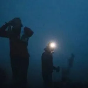 想了解网络犯罪？到暗网去吧