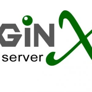 Nginx服务器限 制IP访问的各种情况全解析