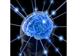 研究发现色情图片看太多或导致大脑萎缩