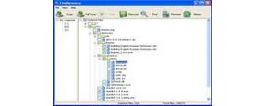 FineRecovery 4.5.7