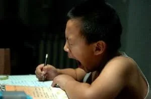 美国教育专家：低收入国家学生作业最多