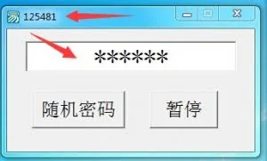 随机密码