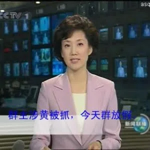 QQ群主传播淫秽视频 获刑10个月