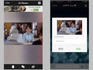 Gif Master：动图狂人最爱