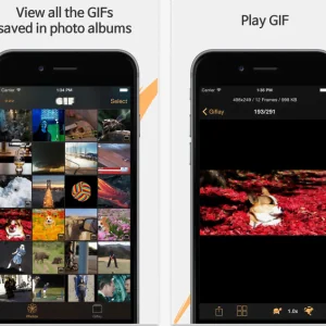 Giflay——不用伤心，动起来了