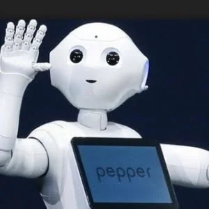 用户和Pepper机器人发生性关系：软银无语了