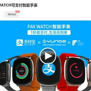 699元起！支付表真的来了：无需网络1秒付款