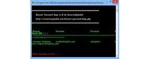 Browser Password Dump 4.0