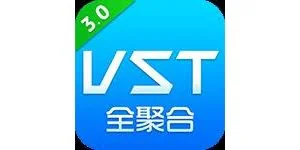 VST全聚合3.0