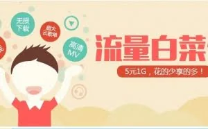 电信流量计费应引入第三方监测！
