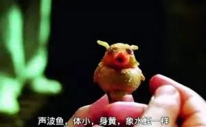从科幻走入现实的技术：以后你用到的也许在这