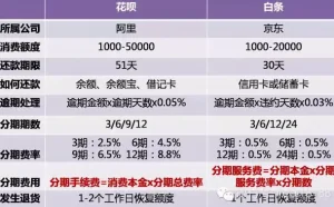 花呗和白条哪个更划算?
