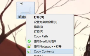 Copy Contents – 一键复制文件内的文本或图片内容