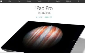 Apple.com网站域名值多少钱？