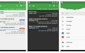 加快影音档案的下载速度：tTorrent