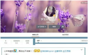 凤姐加入“天使投资人”行列 公开约战董明珠