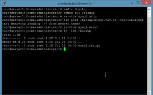 Linux系统下tar命令的使用技巧总结