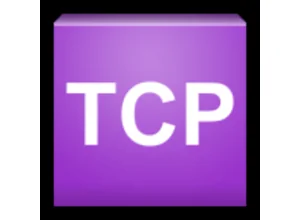 TCP握手欺骗