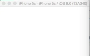 为 iOS APP 添加手机密码、指纹验证