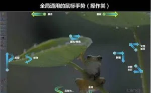 MAX 鼠标手势方案及图解，StrokesPlus 脚本