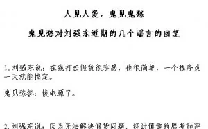 天猫小二炮轰刘强东:你家一个程序员都没有吗？