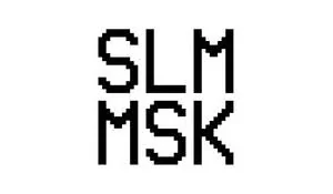 SLMMSK——我很丑但是我有音乐和啤酒#