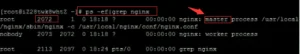 Nginx的启动、停止与重启