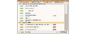 Pidgin(Gaim) For Linux 2.10.12