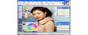 Paint.NET 4.0.8