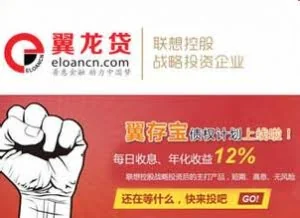 翼龙贷非法集资疑云： 投资者决策权很关键