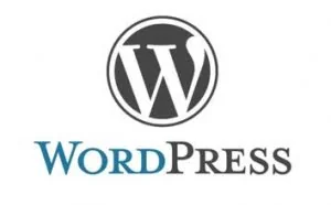 wordpress反广告屏蔽