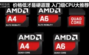 价格低才是硬道理 入门级CPU大推荐