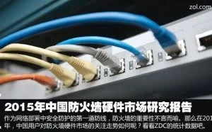 2015年中国防火墙硬件市场研究报告