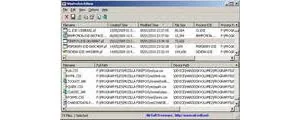 WinPrefetchView 1.35