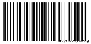 一维条形码攻击技术(Badbarcode)